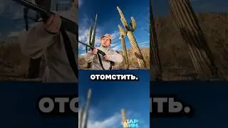 Стоять, ковбой!🤠