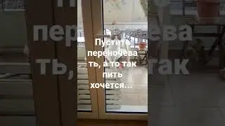 Откройте!!!