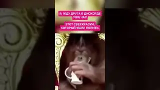 Когда ждешь друга в Discord. 