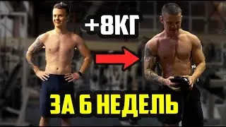 ПОЖАЛИ НОВЫЙ РЕКОРД - ОТЧЕТ ЗА 6 НЕДЕЛЬ КУРСА - ЗАМЕРЫ