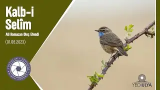 Ali Ramazan Dinç Efendi I Kalb-i Selim Sohbetleri (01.06.2023)