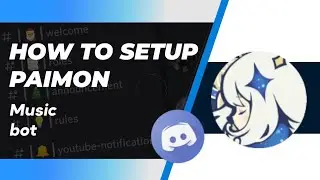 How to setup Paimon bot Discord very easily on your discord server | Music