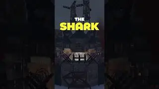 The SHARK - Шикарная база для 2-3 игроков (обзор)