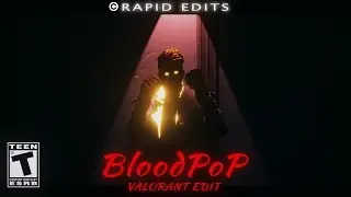 BrooklynBloodPop 🩸 - Valorant Edit