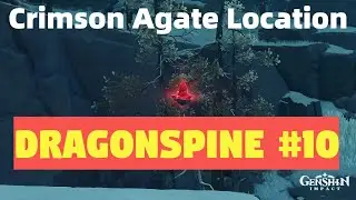 Crimson Agate [#9602] Location: Dragonspine #10 - Genshin Impact