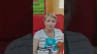 Минус глаукома и минус гипертония благодаря Системе 5/95🔥👏