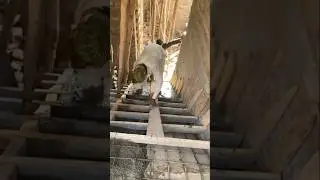 How To Pour Concrete Stairs Like A Pro