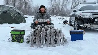 Нельзя Давать МАШИНУ,ЖЕНУ И ЛУНКУ-Горная Рыбалка