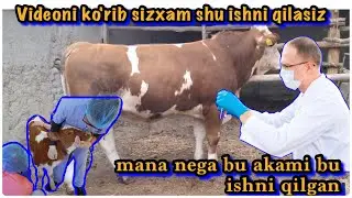 Mana Smmentalni udari FAQAT zotga beriladi/ +998911252977