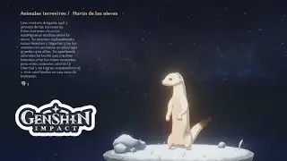 Hurón de las Nieves [Guía Captura Red Ubicuidad] GENSHIN IMPACT