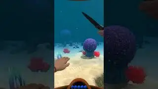 ЭВОЛЮЦИЯ ЗОНЫ КУШ В SUBNAUTICA!