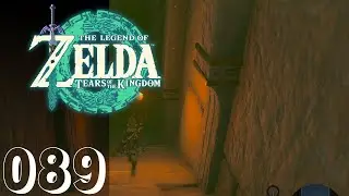 The Lightning Temple | The Legend of Zelda: Tears of the Kingdom | Part 89