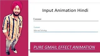 Input Animation CSS || Text input Username field  Animation css