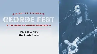 The Black Ryder - Isn't It A Pity Live at George Fest [Official Live Video]