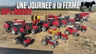 🤠🐄 Une JOURNÉE à la FERME SCHERTZ : 100% MASSEY - SEMIS - PRESSAGE - EPANDAGE - DÉCHAUMAGE 🌾