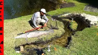 CANT STOP Smart PET FISH from BREAKING FREE From POND BUILDS NEW CONTAINMENT STRUCTURES!