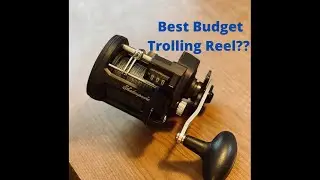 Shakespeare ATS 30 Review (Best Budget Trolling Reel?)