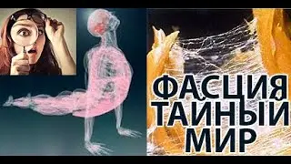 ФАСЦИЯ. Потрясающий  Таинственный мир под кожей  [Документальный фильм]