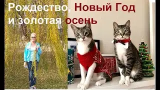 Прогулка в золотой осени между Рождествои и Новым Годом. .Жизнь в США  глазами русской жены