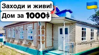 🇺🇦 Заходи и живи! Дом в селе за 1000$ Продажа недвижимости за копейки! Всё есть Уютное тихое село!