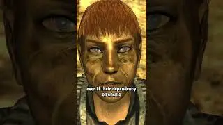 Fallout Lore: Vault 95's Experiment