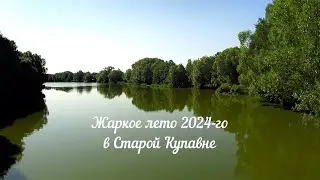 Жаркое лето 2024-го в Старой Купавне