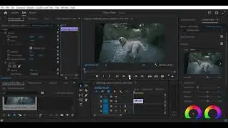 Premiere Pro 2024    How to do Reverse Effect