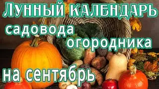 🌙ЛУННЫЙ КАЛЕНДАРЬ САДОВОДА И ОГОРОДНИКА 🍅НА СЕНТЯБРЬ МЕСЯЦ🌕