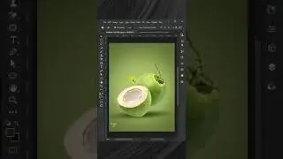 Advertisement Design 