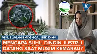 Bediding Jadi Trending, Mengapa Suhu Dingin Justru Datang Saat Kemarau?