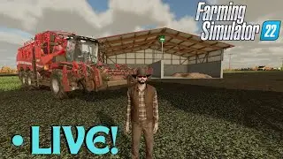 Sugar Beets And Poplar Harvest! Then Livestock! Farming Simulator 22 FS22