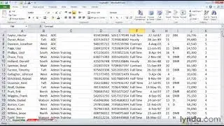 Excel Tutorial - Splitting the screen and freezing titles