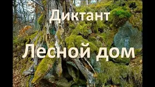 Диктант 