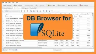 Create and Read SQLite Databases using DB Browser: How to Use DB Browser 2021