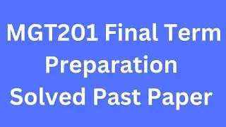 MGT201 Final term Preparation Solved Past Papers