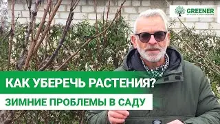 МАЛОСНЕЖНАЯ зима и другие проблемы. ЧТО ДЕЛАТЬ? Советы Эксперта!