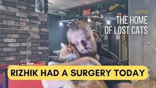 About Rizhik surgery today