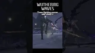 These fighting scenes ARE CRAZY - Wuthering Waves