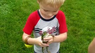 evan frog 001.AVI