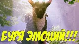 БУРЯ ЭМОЦИЙ!!!