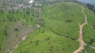 Ooty in 4K Drone View