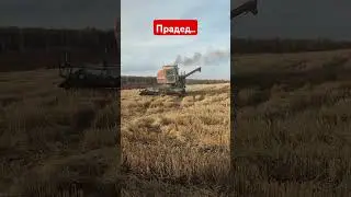 Что за зверь, пишем в коментарии #fs22 #фс22 #farming #фармингсимулятор #сельскоехозяйство #комбайн
