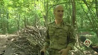 Во Владимире в лесопарковой зоне 