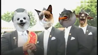 Astronomia - Coffin Dance Meme 3 - Animal Cover