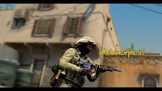 Metamorphosis | CSGO Edit (ft. Havox)