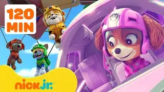PAW Patrol Air Rescue Adventures! #3 w/ Rocky 🚁  120 Minutes | Nick Jr.