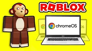 Best Chromebooks For Roblox (2024)