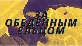 Клюет ли елец в обед? / Томь, елец, мороз и солнце...