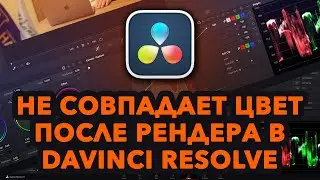 Почему не совпадает цвет после рендера в DaVinci Resolve