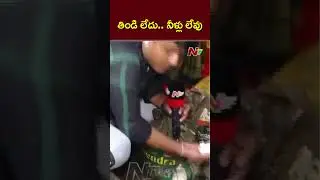 తిండి లేదు.. నీళ్లు లేవు..! | Ntv